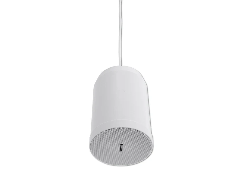 OMNITRONIC WP-10W Takhögtalare