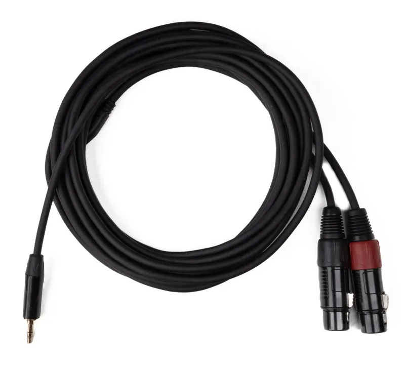 MINIJACK 3,5mm TRS Hane till 2x XLR Hona (6m)