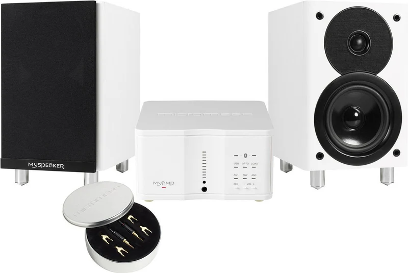 Micromega MySystem (NO BOX - One ONLY !!)