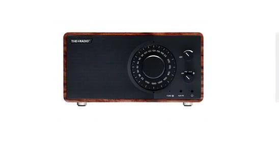 PlusAudio The +Radio Rosewood/Anth