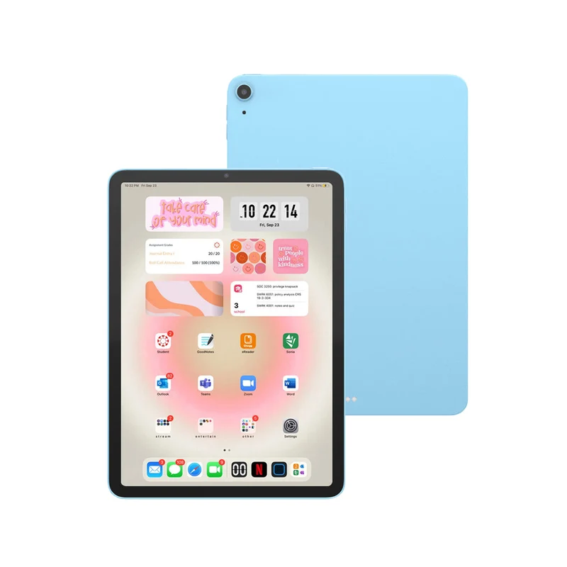 Apple iPad Air 10.9-inch 256GB Wi-Fi (Blue) [~Refurbished: As new]