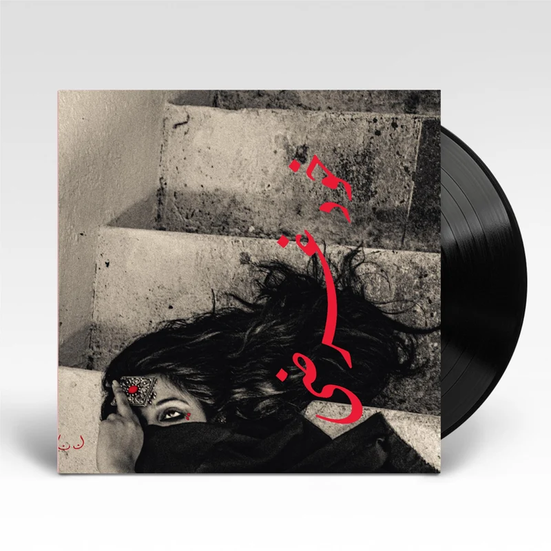 Khudgarzi (Vinyl)