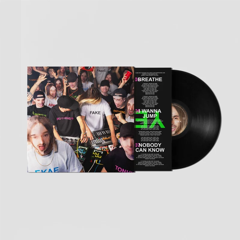 Nothing's Fake (Vinyl)