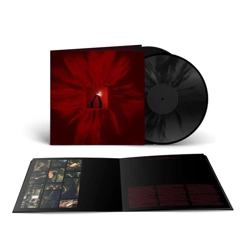 Mere Mortals (Vinyl) (Import)