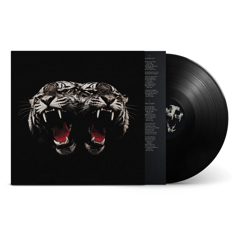 Dead Company (Vinyl)