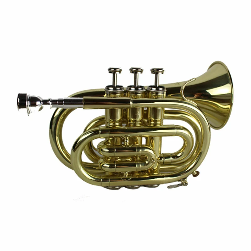 Axiom Pocket Trumpet Outfit