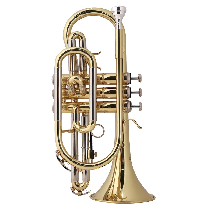 Axiom Student Cornet with Premium Case